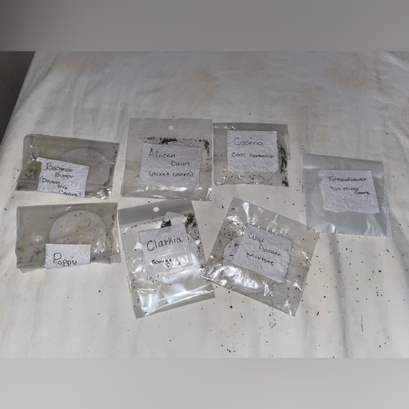 Circle Seed paper (21pc) - Picture 2 of 4